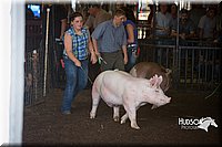 LCFAIR15-2137.jpg