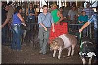 LCFAIR15-2140.jpg