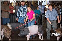 LCFAIR15-2141.jpg
