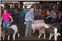 LCFAIR15-2142.jpg