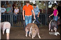 LCFAIR15-2143.jpg