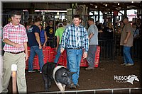 LCFAIR15-2144.jpg