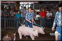 LCFAIR15-2145.jpg