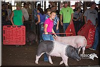 LCFAIR15-2146.jpg