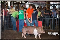 LCFAIR15-2149.jpg