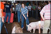LCFAIR15-2150.jpg