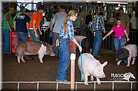 LCFAIR15-2152.jpg