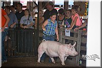 LCFAIR15-2154.jpg