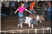 LCFAIR15-2155.jpg