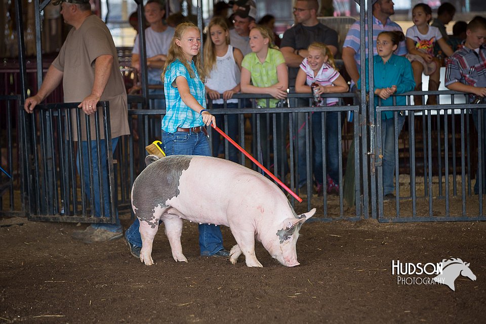 LCFAIR15-2164.jpg