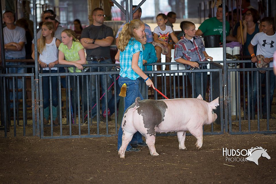 LCFAIR15-2165.jpg