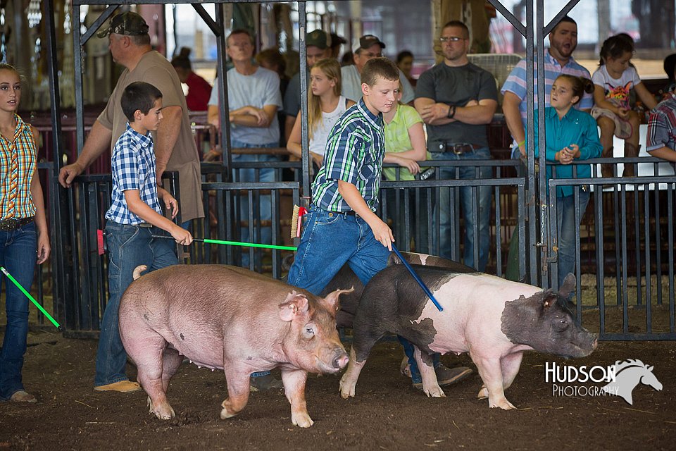 LCFAIR15-2166.jpg