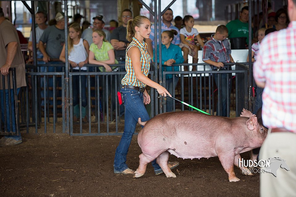 LCFAIR15-2168.jpg