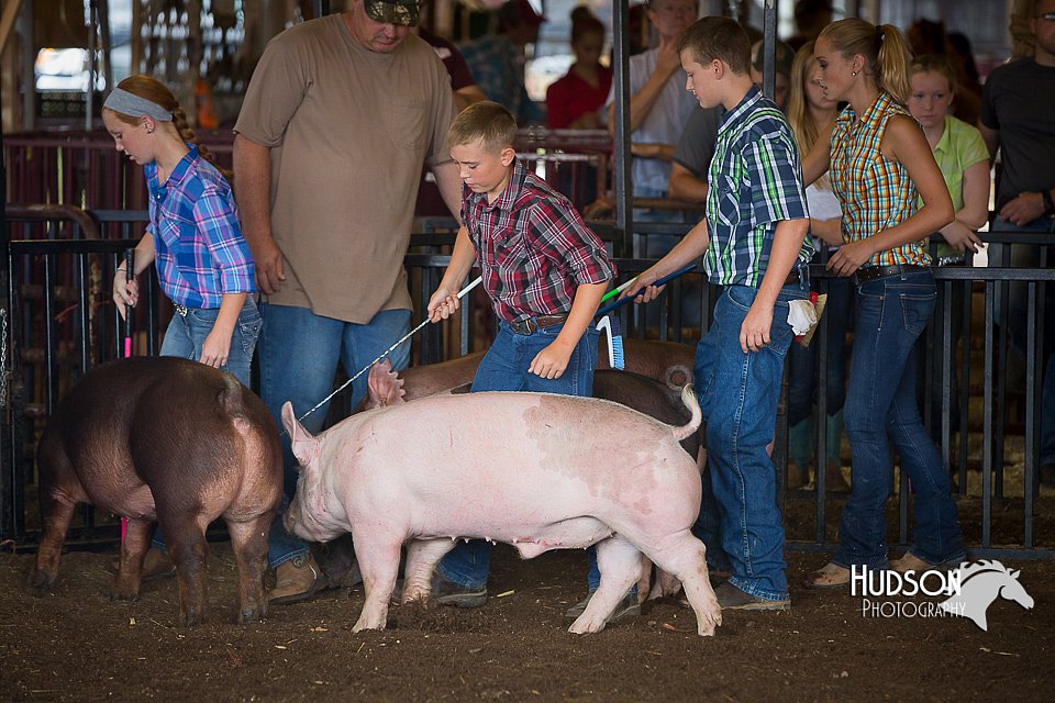 LCFAIR15-2173.jpg