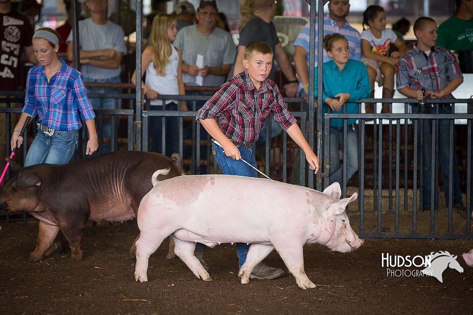 LCFAIR15-2175.jpg