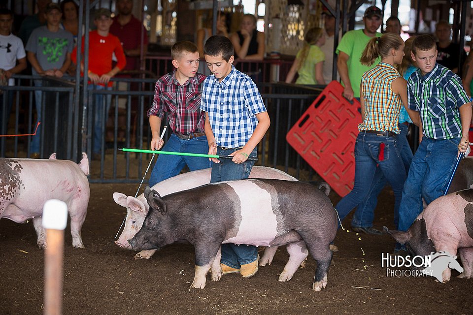 LCFAIR15-2179.jpg
