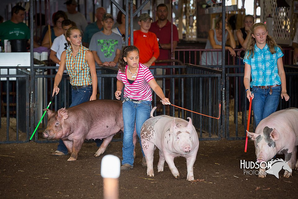 LCFAIR15-2180.jpg