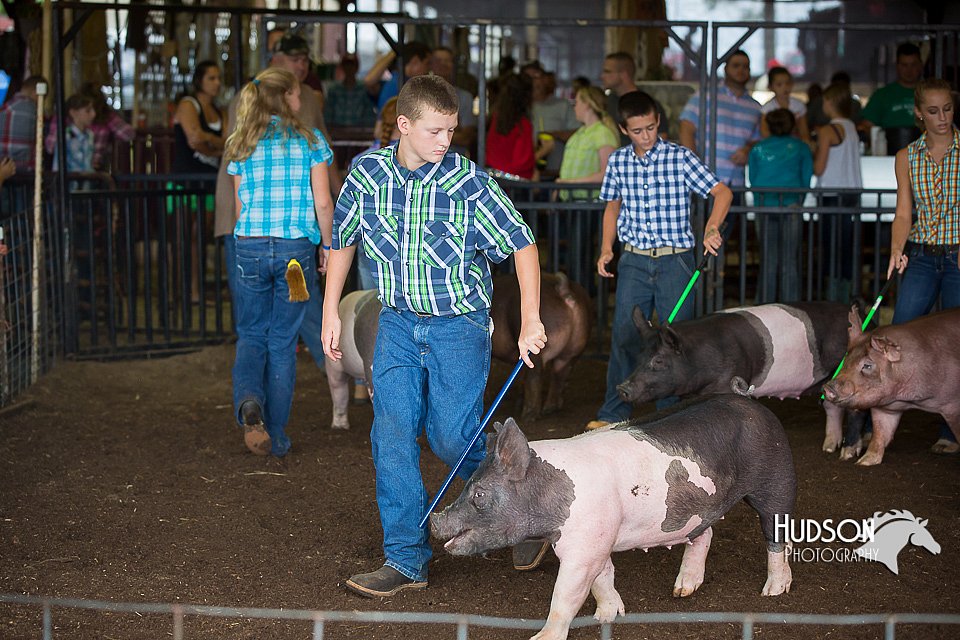 LCFAIR15-2183.jpg