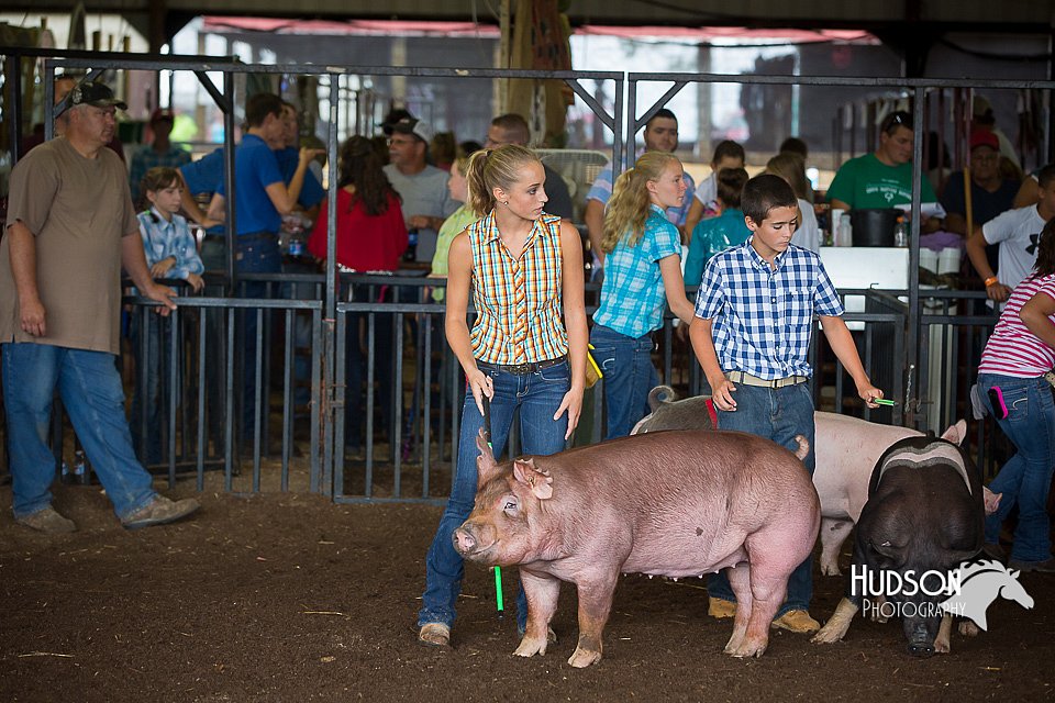 LCFAIR15-2184.jpg
