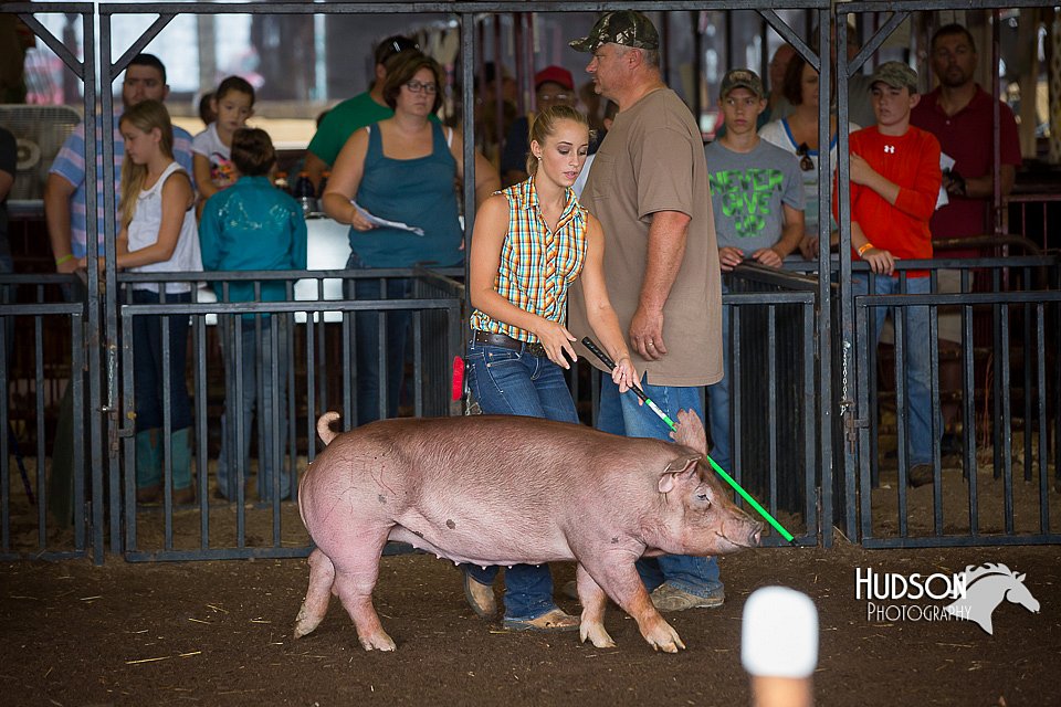 LCFAIR15-2187.jpg