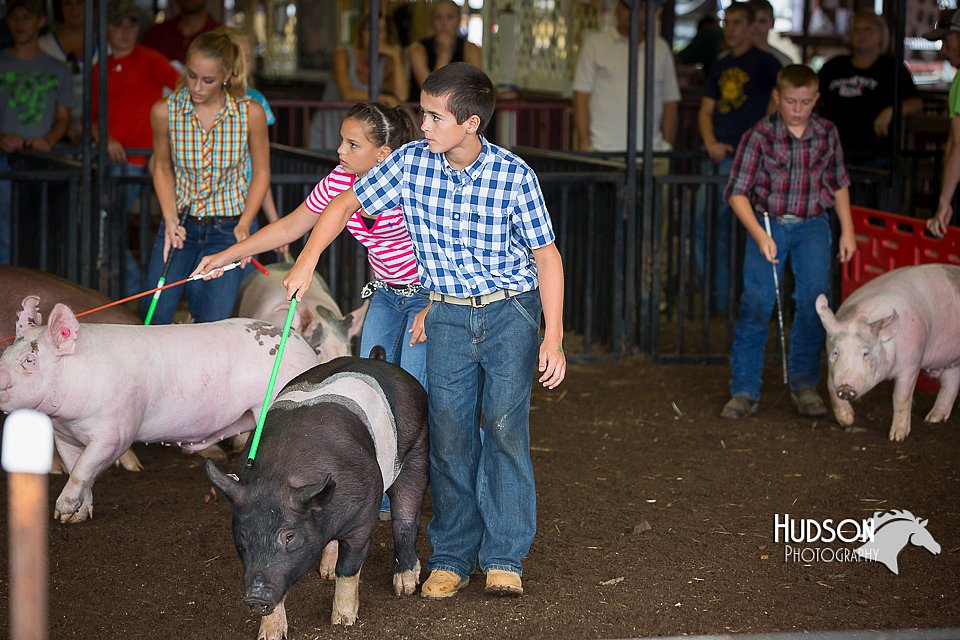 LCFAIR15-2188.jpg