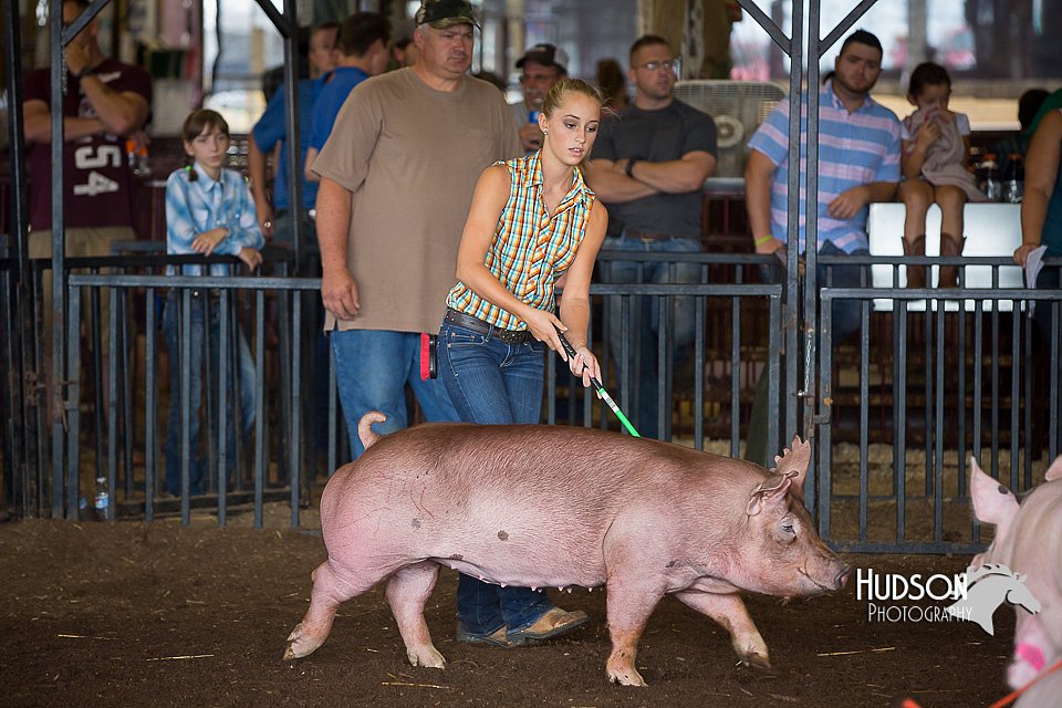 LCFAIR15-2190.jpg