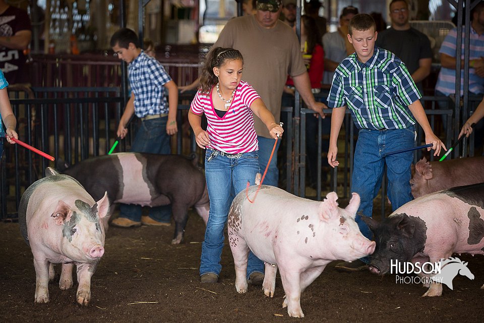 LCFAIR15-2195.jpg