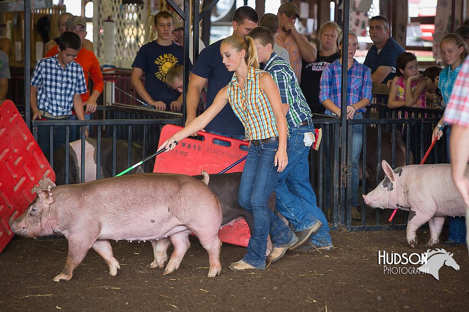 LCFAIR15-2200.jpg