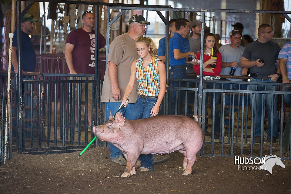 LCFAIR15-2201.jpg