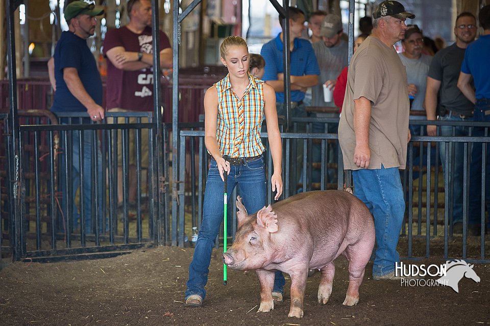 LCFAIR15-2203.jpg
