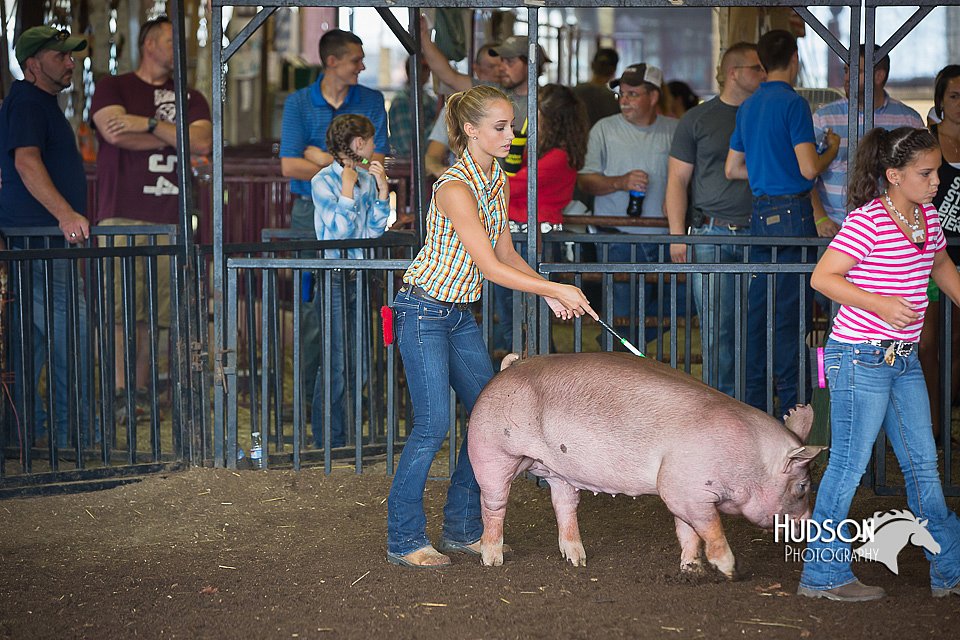 LCFAIR15-2204.jpg