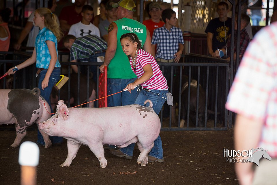 LCFAIR15-2205.jpg