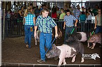 LCFAIR15-2183.jpg