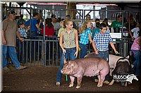 LCFAIR15-2184.jpg