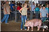 LCFAIR15-2185.jpg