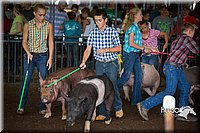 LCFAIR15-2186.jpg