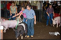 LCFAIR15-2188.jpg
