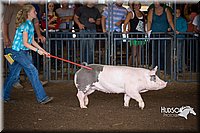 LCFAIR15-2193.jpg