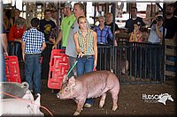 LCFAIR15-2198.jpg