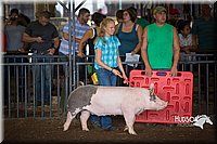 LCFAIR15-2199.jpg