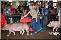 LCFAIR15-2200.jpg
