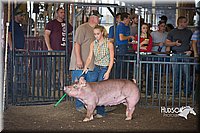 LCFAIR15-2201.jpg