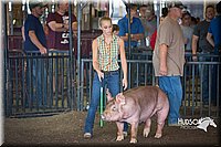 LCFAIR15-2203.jpg