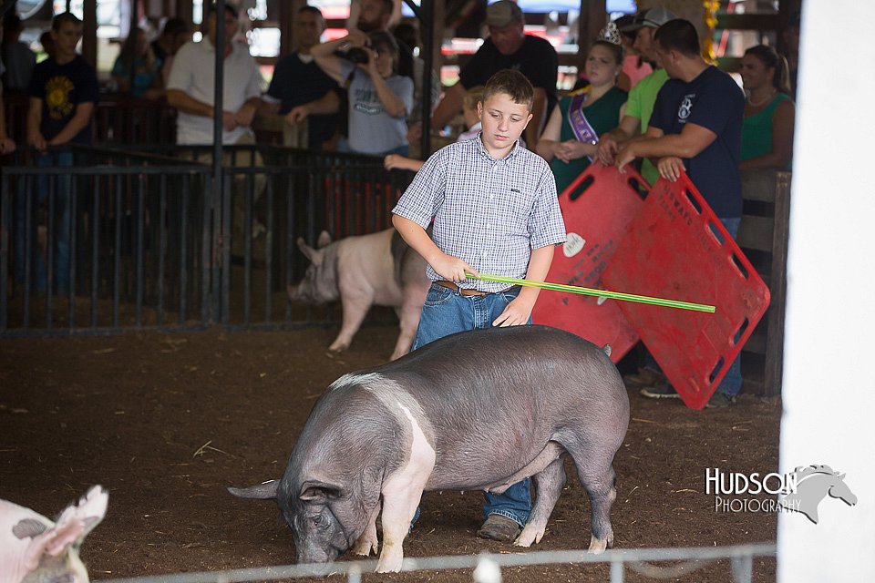 LCFAIR15-2217.jpg
