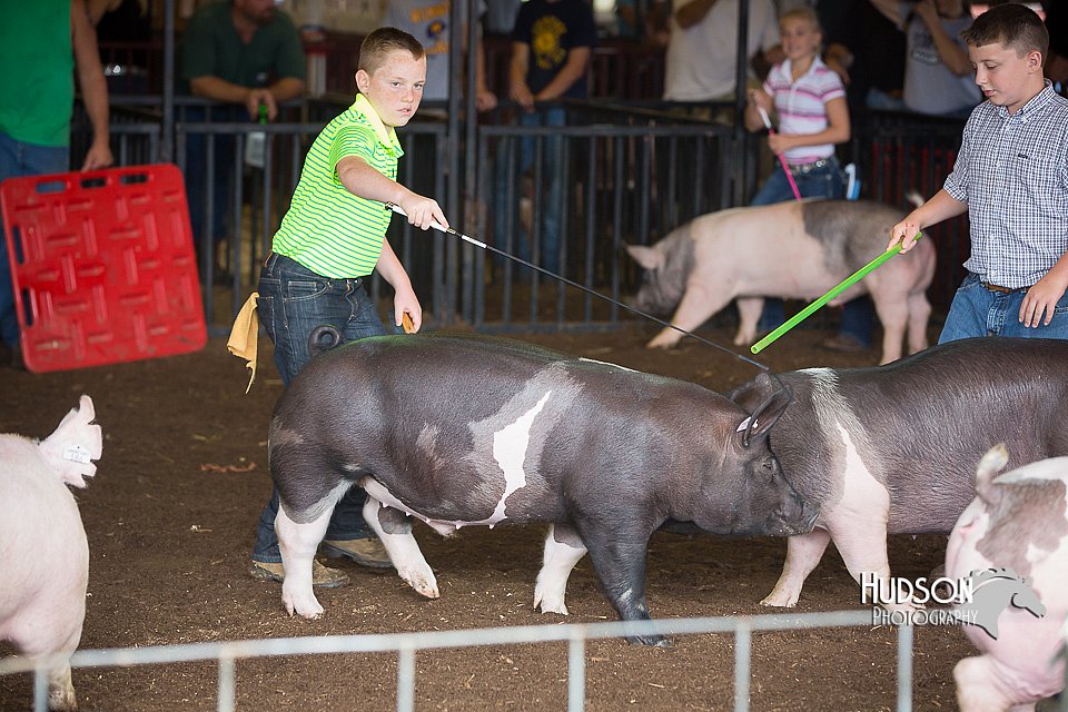 LCFAIR15-2218.jpg