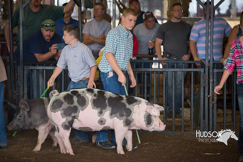 LCFAIR15-2219.jpg