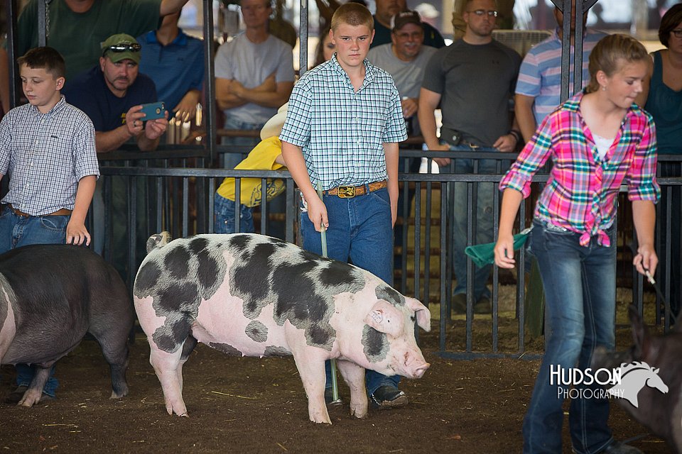 LCFAIR15-2220.jpg