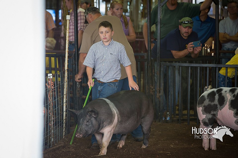 LCFAIR15-2221.jpg
