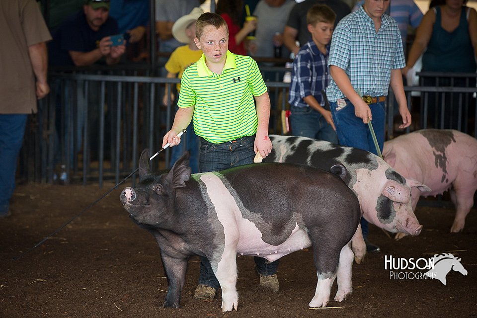 LCFAIR15-2222.jpg