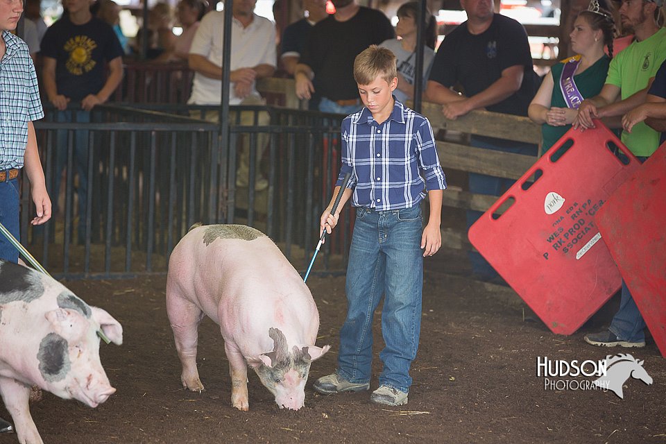 LCFAIR15-2225.jpg